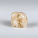 Sagemax Zirkon hochtransluzent | NexxZr+ Normal | W-98 A3,5 16 mm