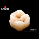 saremco print | CROWNTEC | 500 g