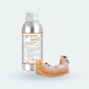 pro3dure printodent&reg; GR-10 guide | DLP 3D-Drucker...